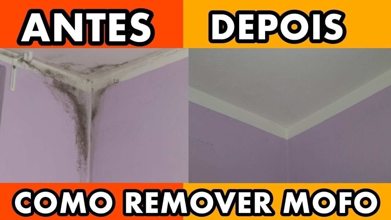 Comment éliminer les moisissures du plafond en 3 techniques différentes