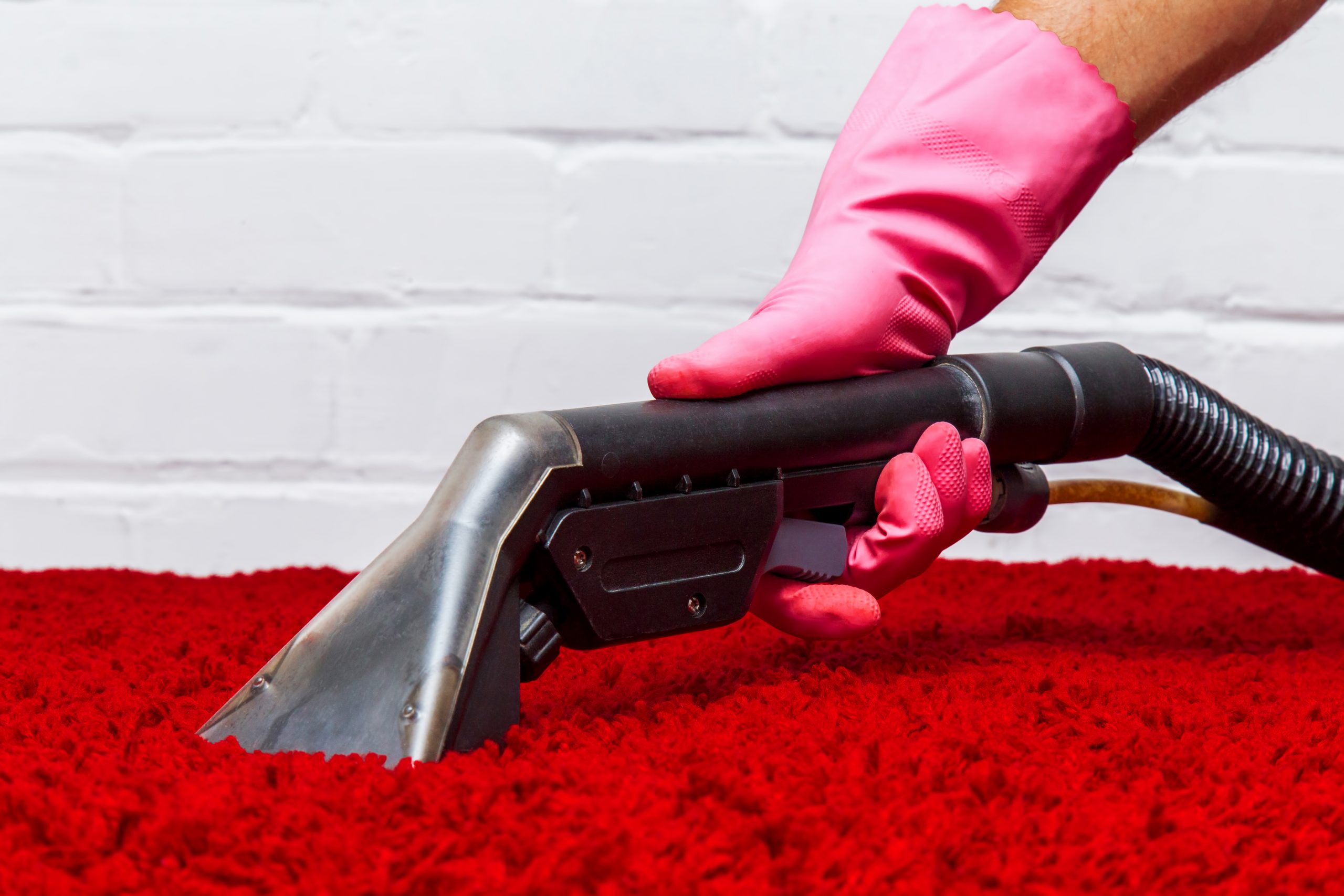 Почистване на килими: научете как да почиствате килими в сух режим и машинно